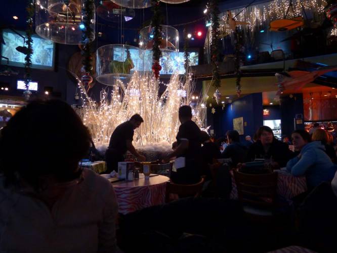 USA_2011-12-02 21-08-53